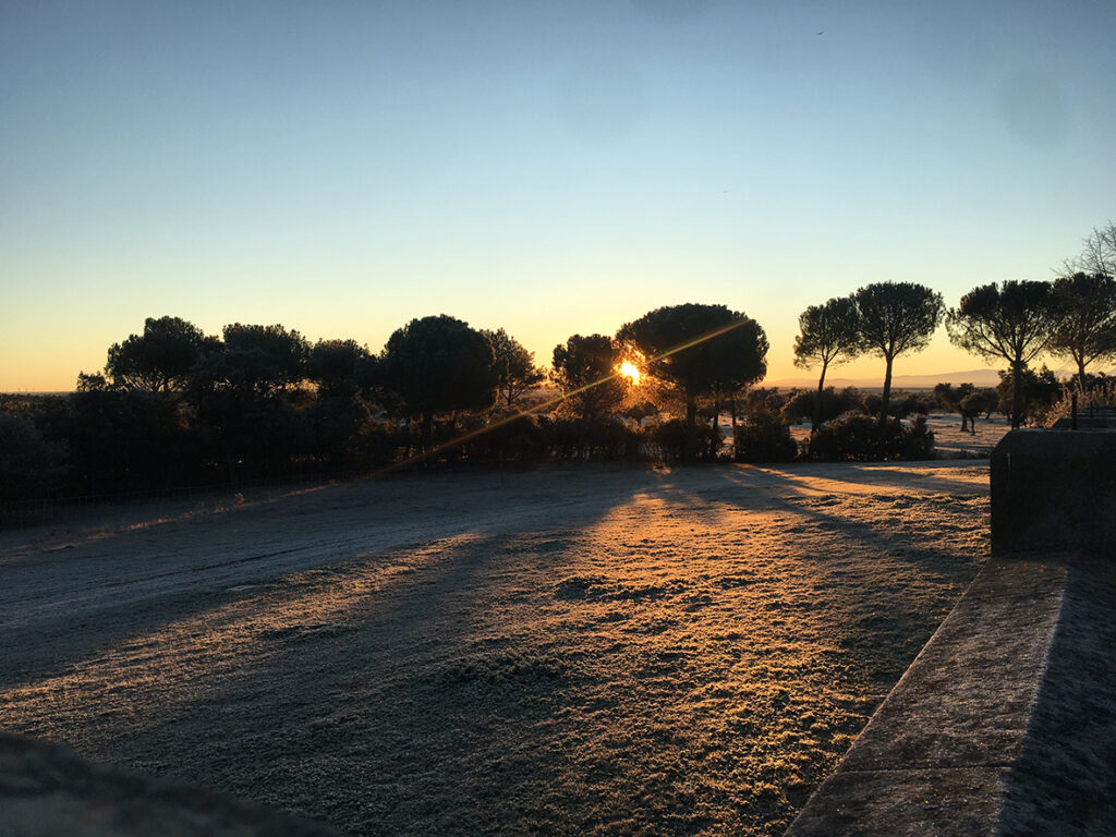 Atardecer en la finca de Bodegas Arauzo